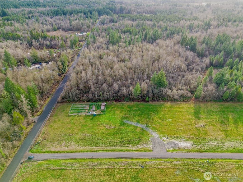 Photo of 113 Jenny Kay Lane, Toledo, WA 98591 (MLS # 2470938)