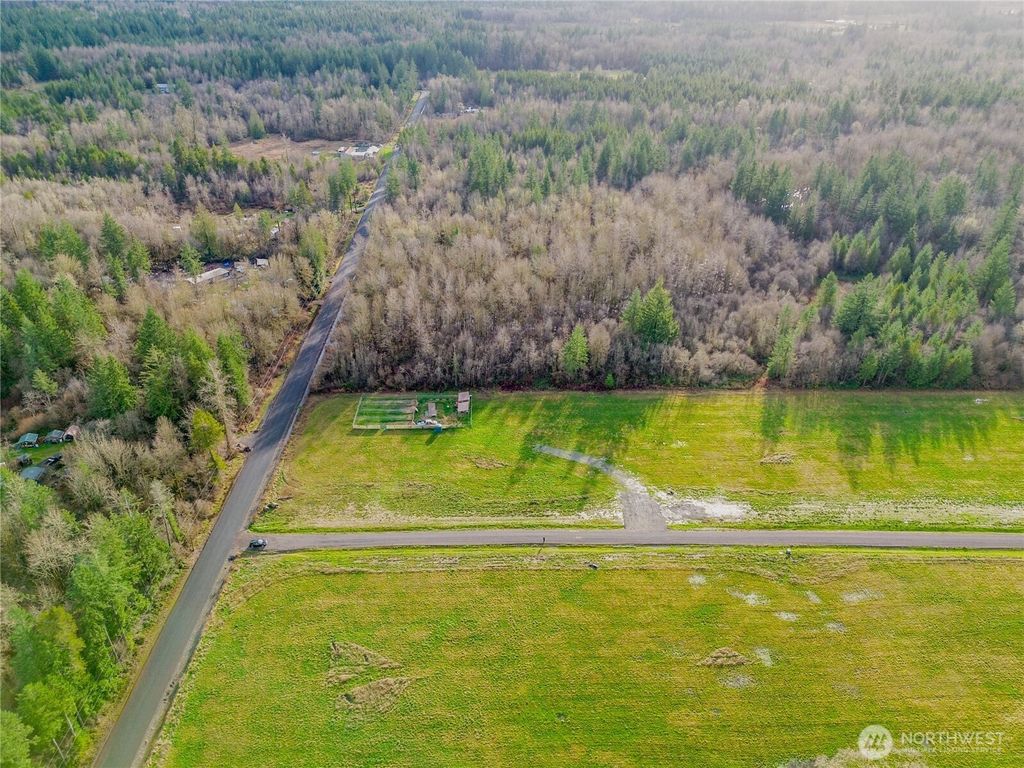 Photo of 113 Jenny Kay Lane, Toledo, WA 98591 (MLS # 2470938)