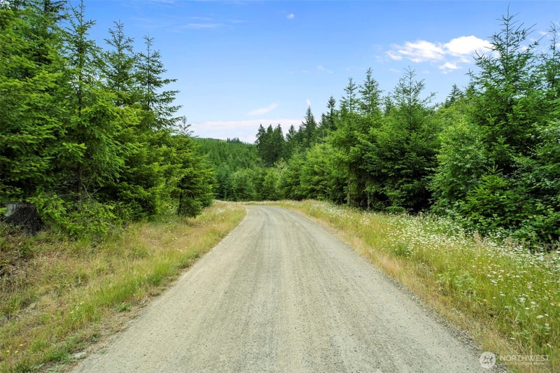 104 Bootjack Lane