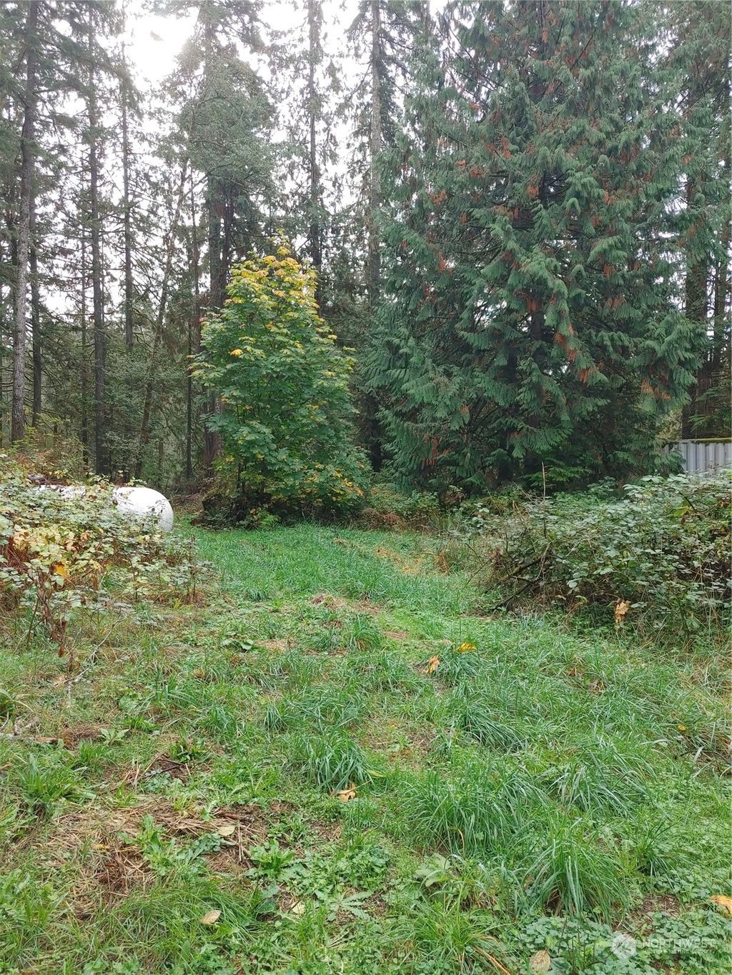 Photo of 11730 Mountain Loop Highway, Granite Falls, WA 98252 (MLS # 2328219)