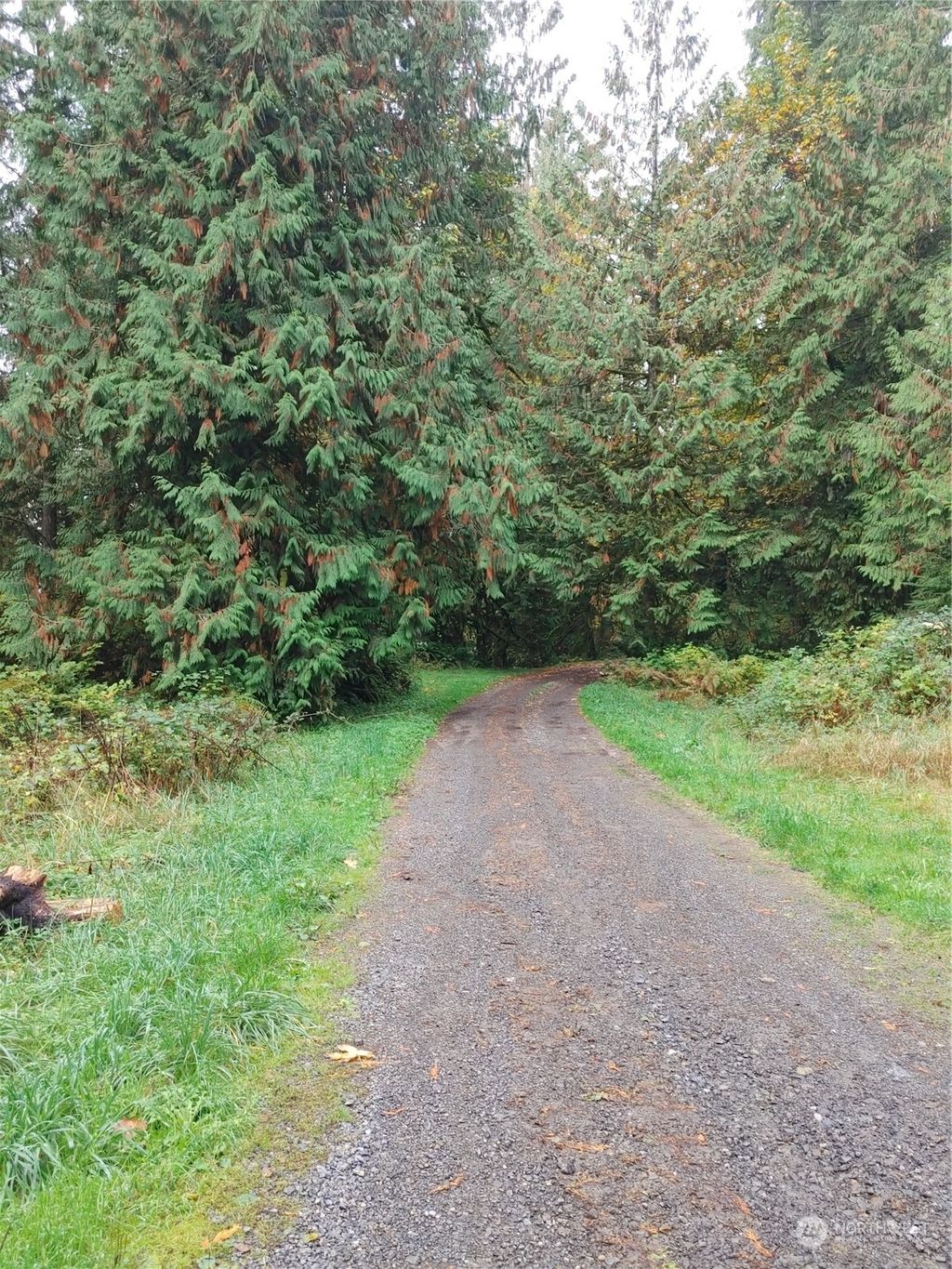Photo of 11730 Mountain Loop Highway, Granite Falls, WA 98252 (MLS # 2328219)