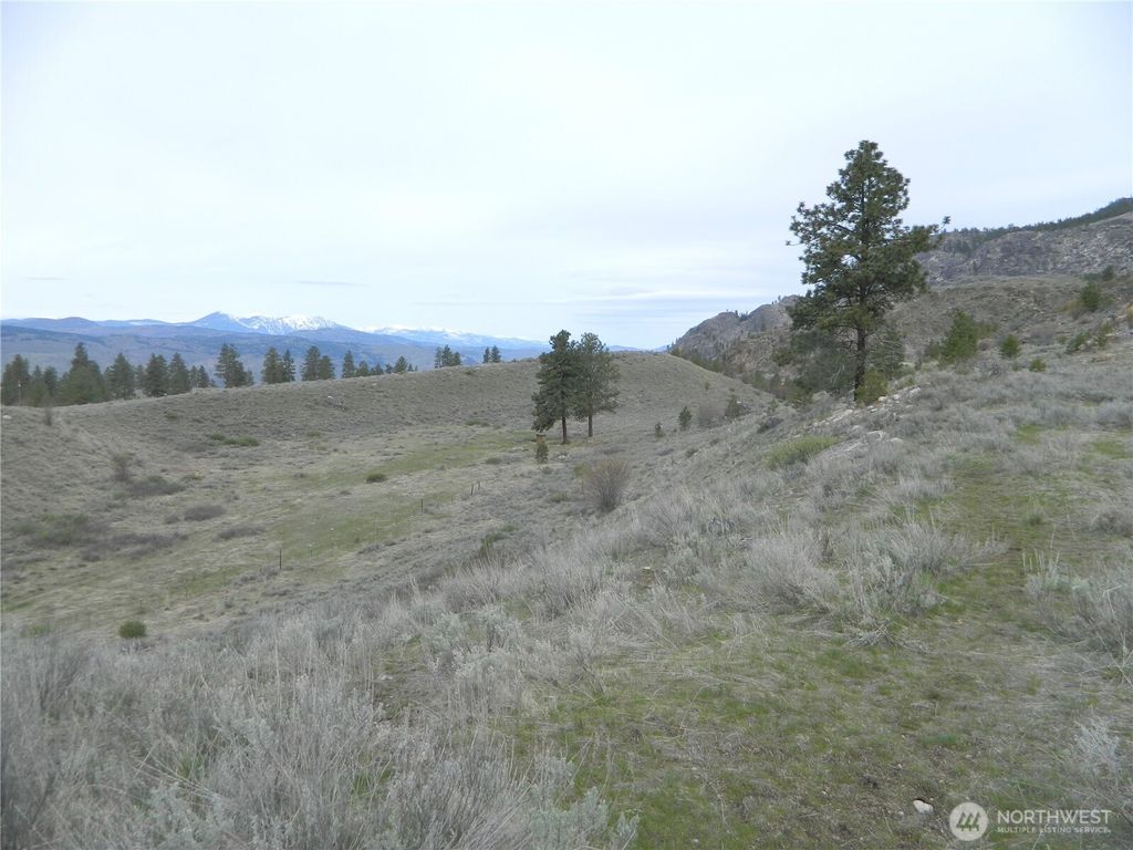 Photo of 11 TBD Six Gun Way, Tonasket, WA 98855 (MLS # 2492754)