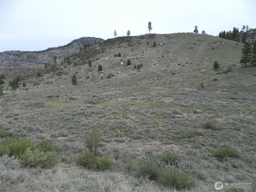 Photo of 11 TBD Six Gun Way, Tonasket, WA 98855 (MLS # 2492754)