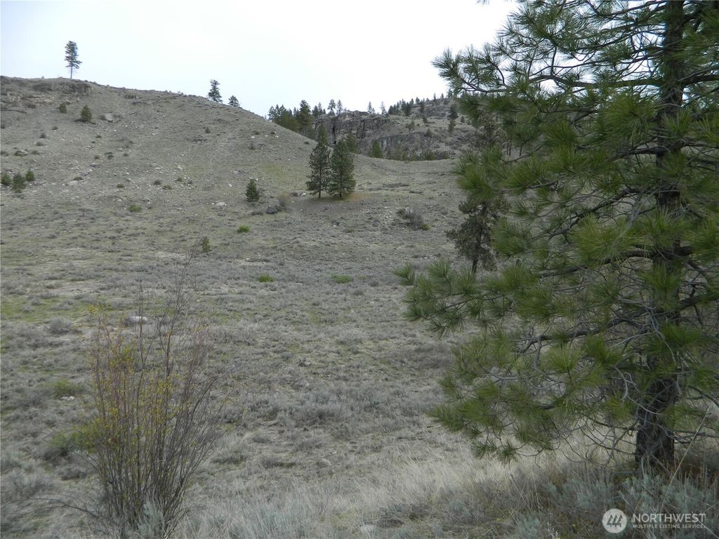 Photo of 11 TBD Six Gun Way, Tonasket, WA 98855 (MLS # 2492754)