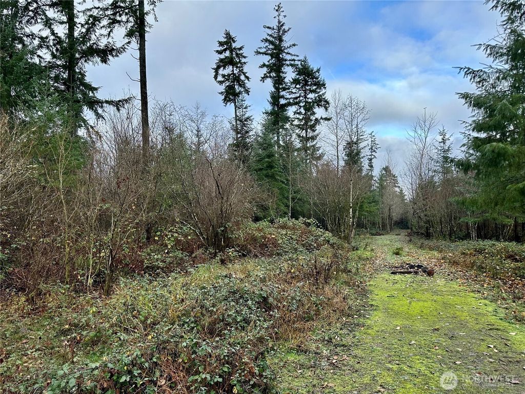 Photo of 0 Studebaker Spur 2 Road, Castle Rock, WA 98611 (MLS # 2459347)