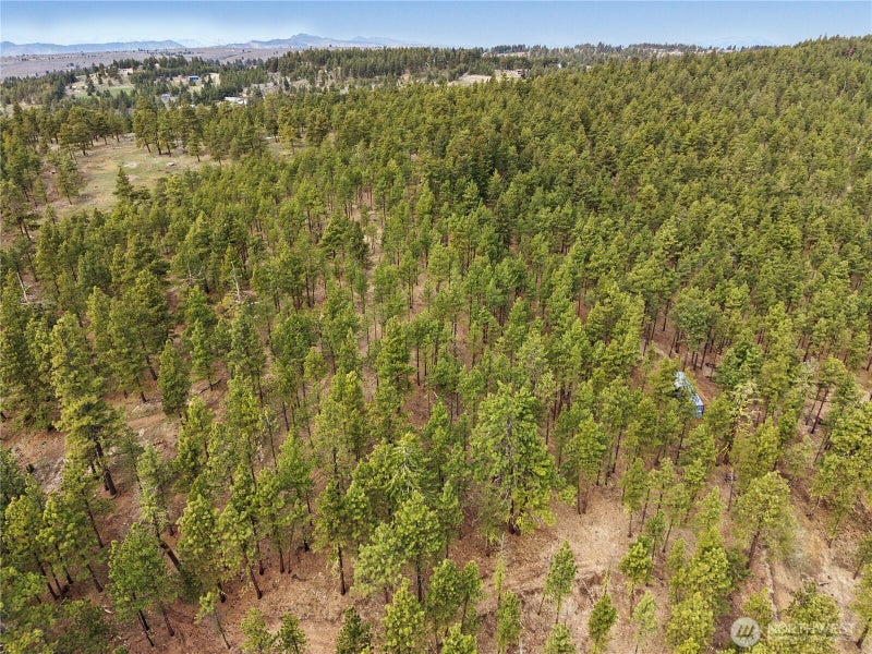 305 Sunrise Way