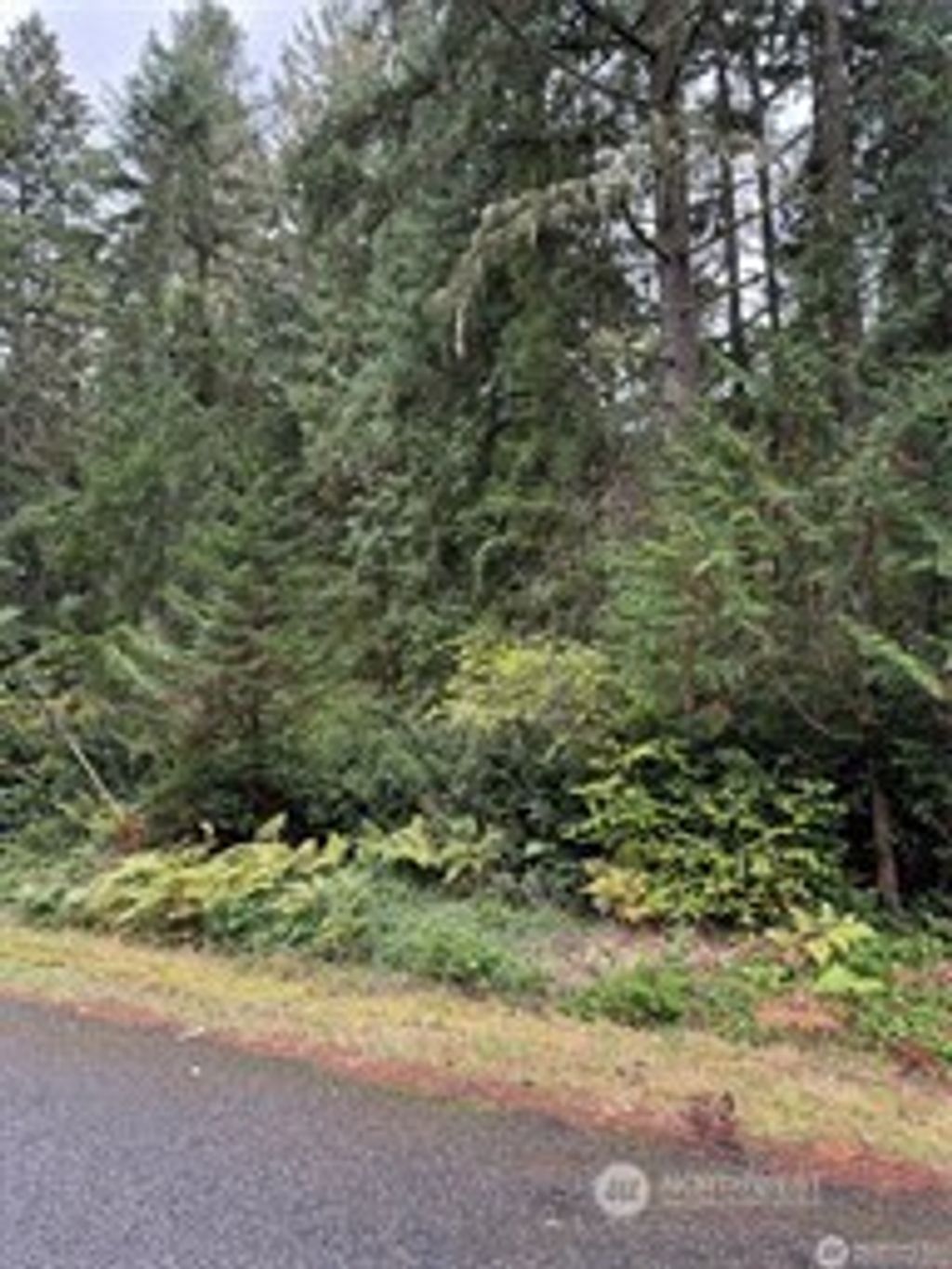 Photo of 9229 Kootenia Drive, Anderson Island, WA 98303 (MLS # 2471088)