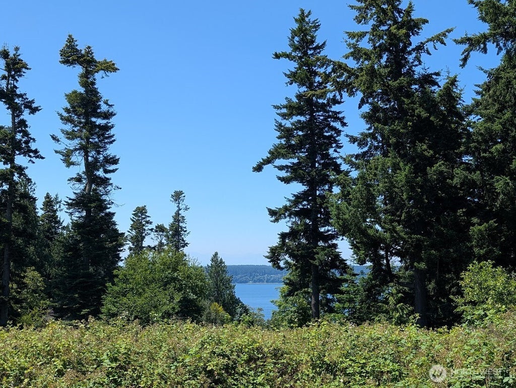 Photo of 4400 S Camano Drive, Camano Island, WA 98282 (MLS # 2550370)