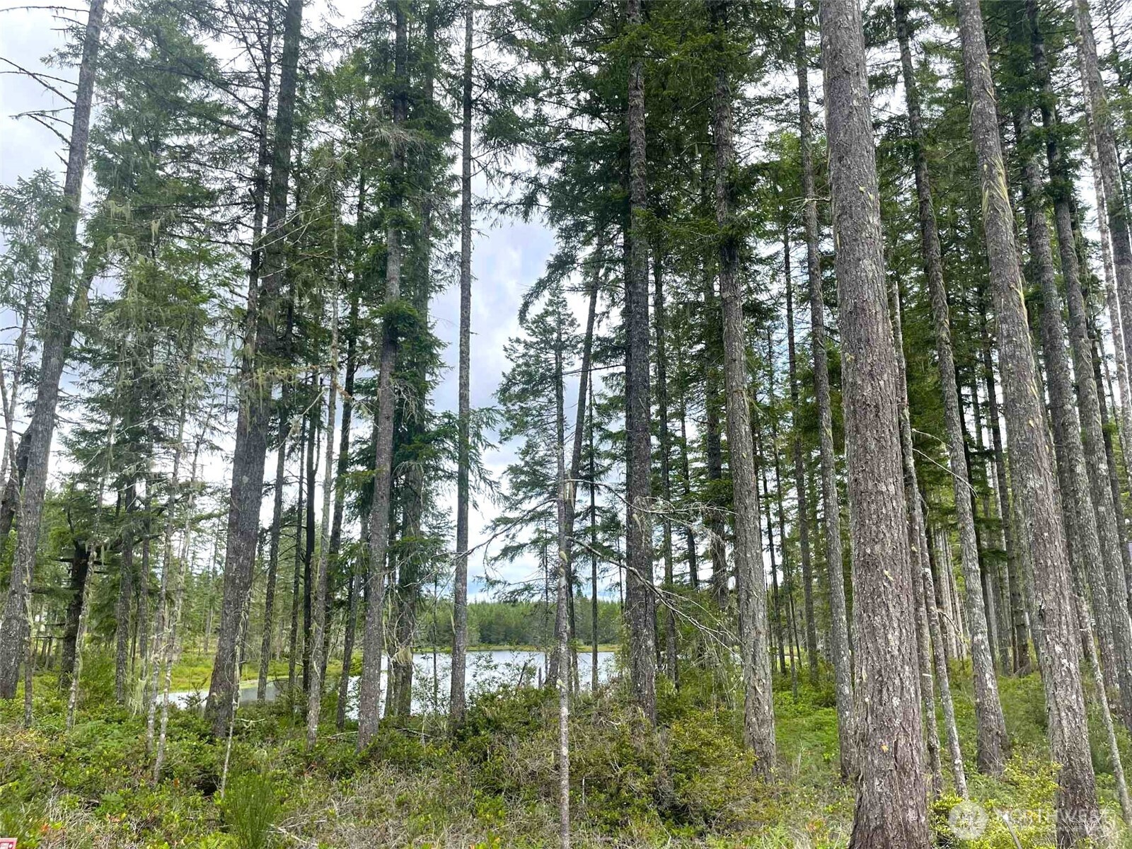 701 W Clear Lake Drive