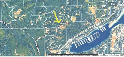 Photo of 0 xxx Jupiter Loop, Brinnon, WA 98320 (MLS # 2473446)