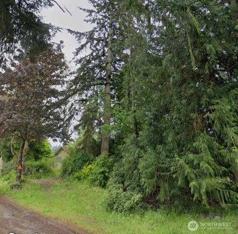 Photo of 10019 48Th Avenue E, Tacoma, WA 98446 (MLS # 2570760)