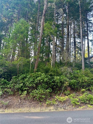700 E VINE MAPLE LN, UNION, WA 98592 - Image 5a44f19dd68da2f07929f531de899e8d/1569407187