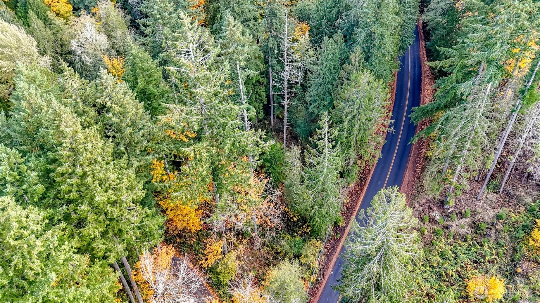 18313 Patterson Road E