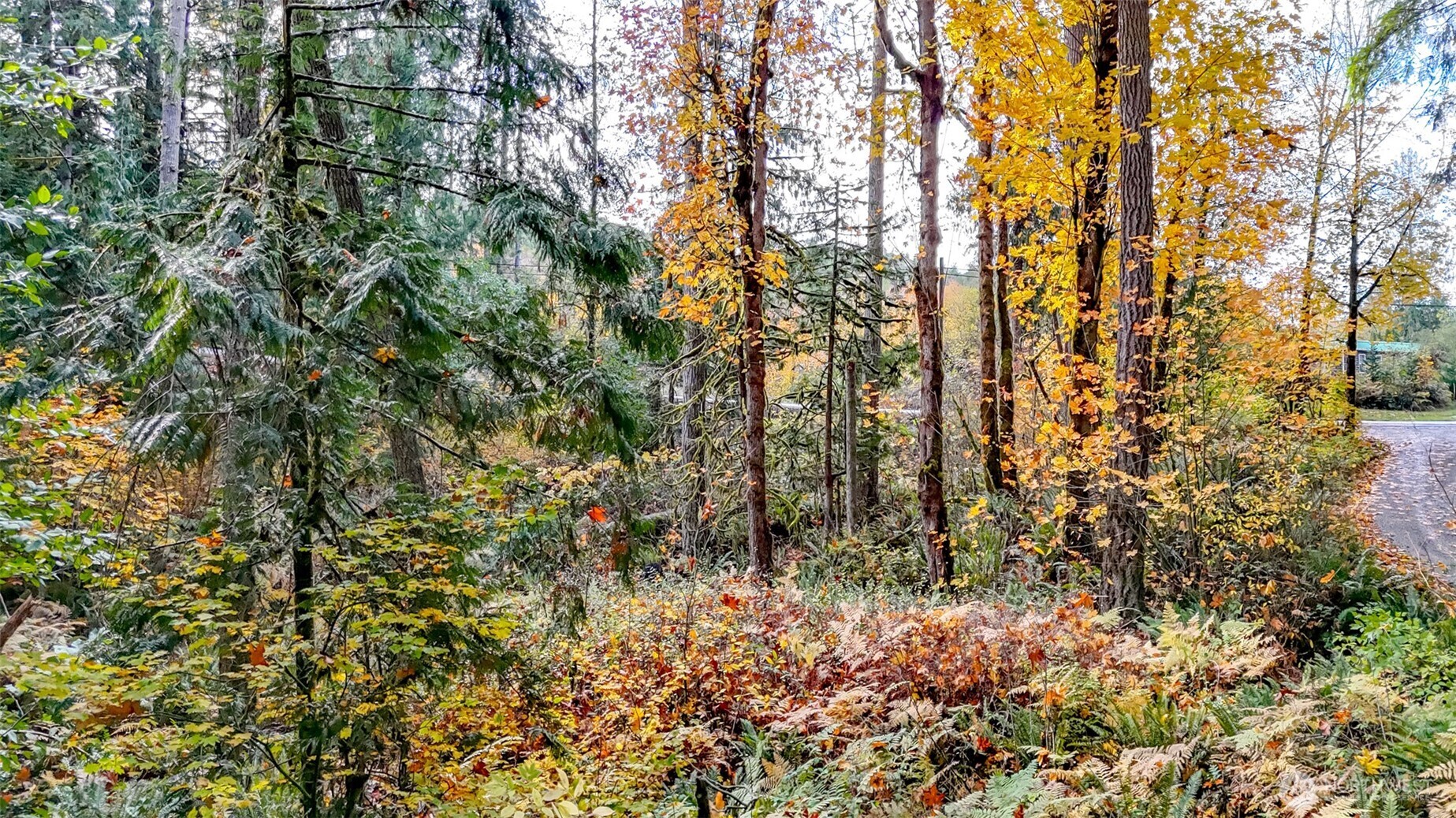 18313 Patterson Road E