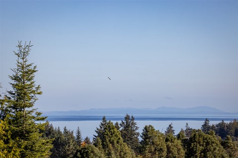 Photo of 1410 View Vista Park, Port Angeles, WA 98362 (MLS # 2597125)