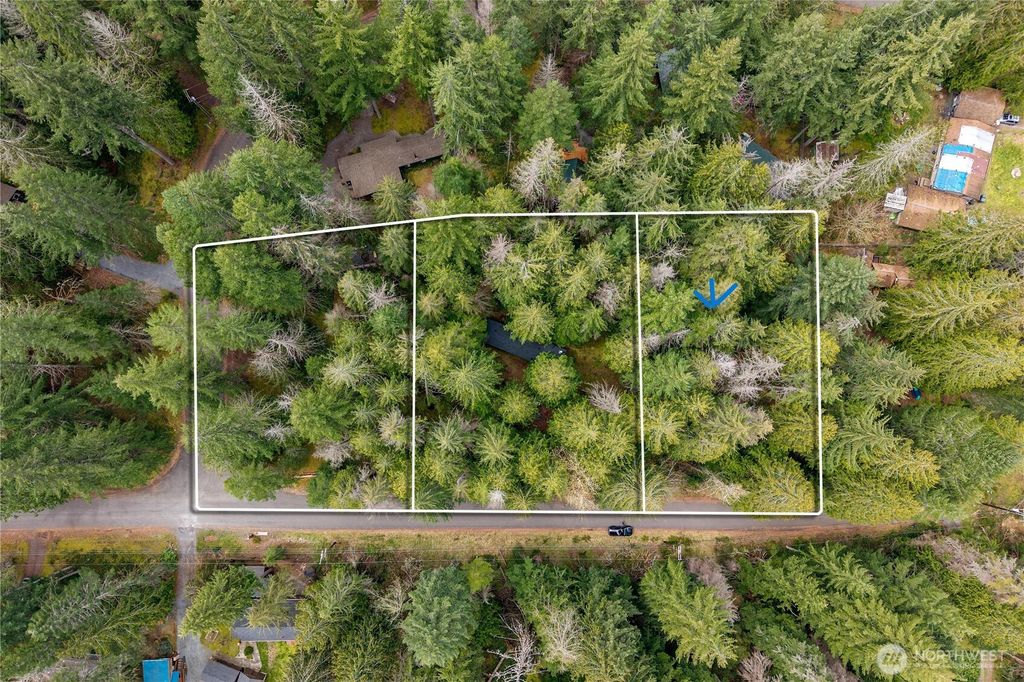 Photo of 56510 383rd Avenue Ct E, Ashford, WA 98304 (MLS # 2483981)