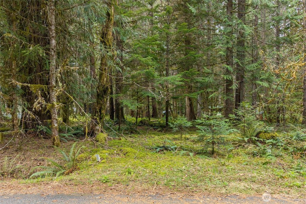 Photo of 56510 383rd Avenue Ct E, Ashford, WA 98304 (MLS # 2483981)