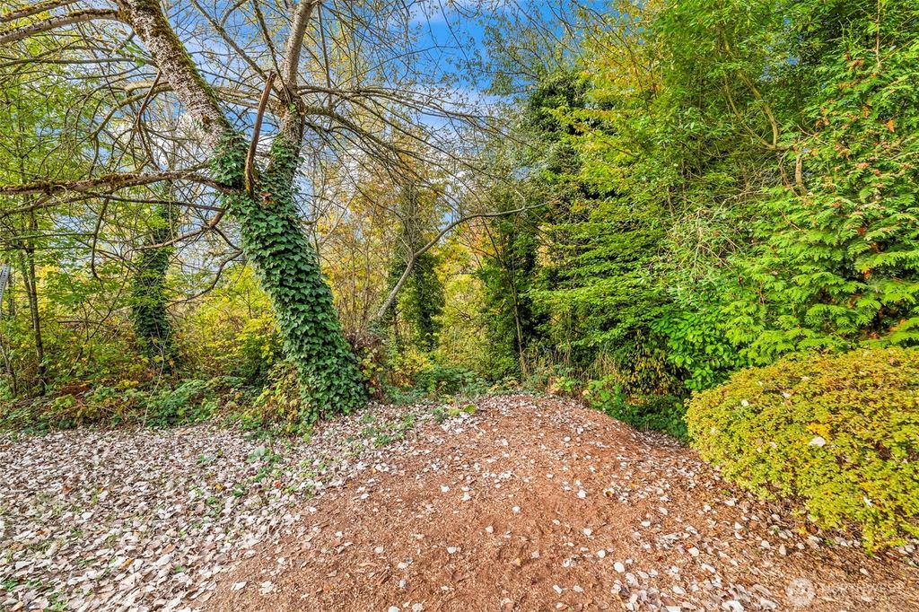 Photo of 0 Fir Street and Emerald Street Street, Milton, WA 98354 (MLS # 2446672)