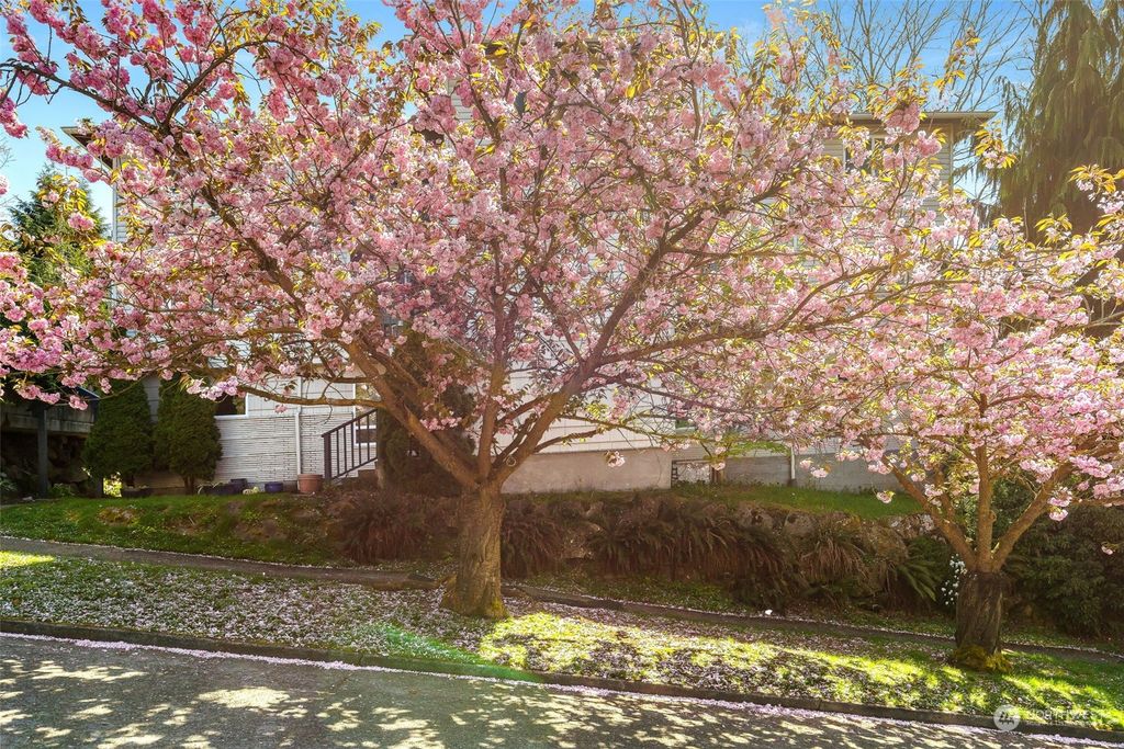 Photo of 3917 SW Raymond St #201, Seattle, WA 98136 (MLS # 2225793)