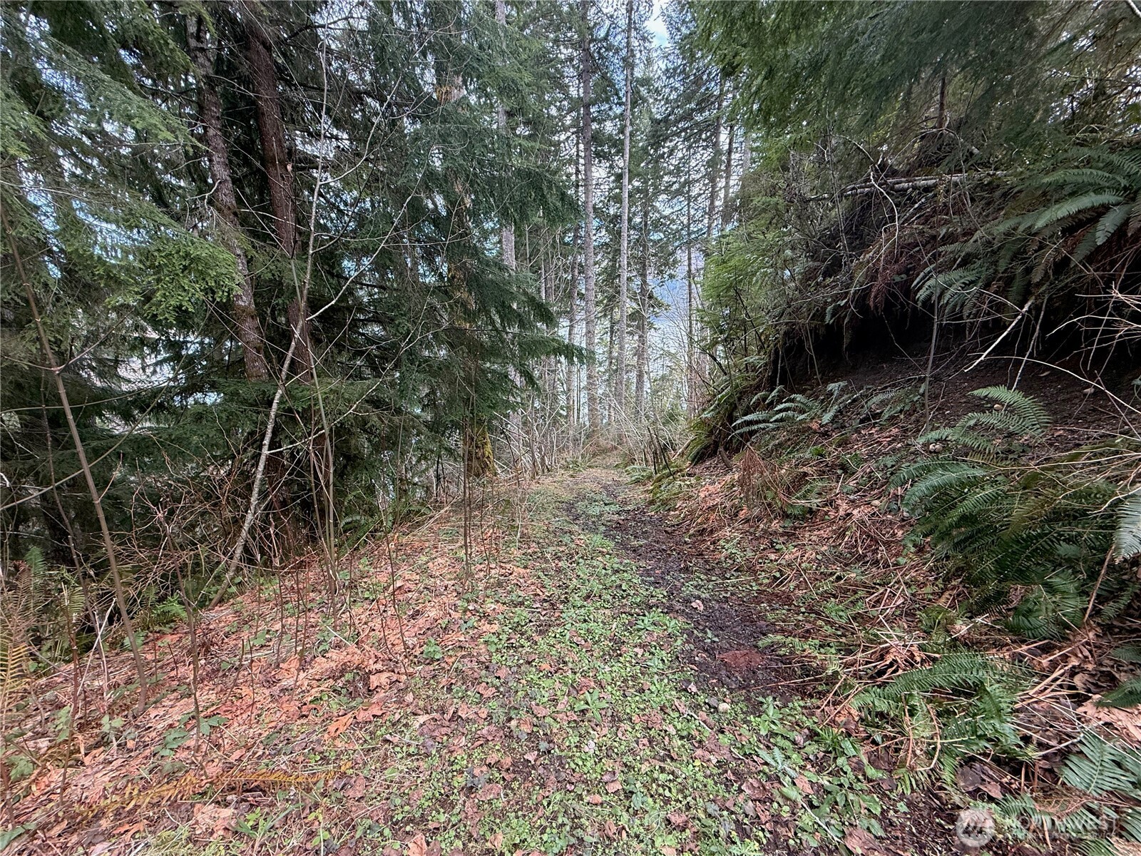 1950 N Cushman Ridge Drive