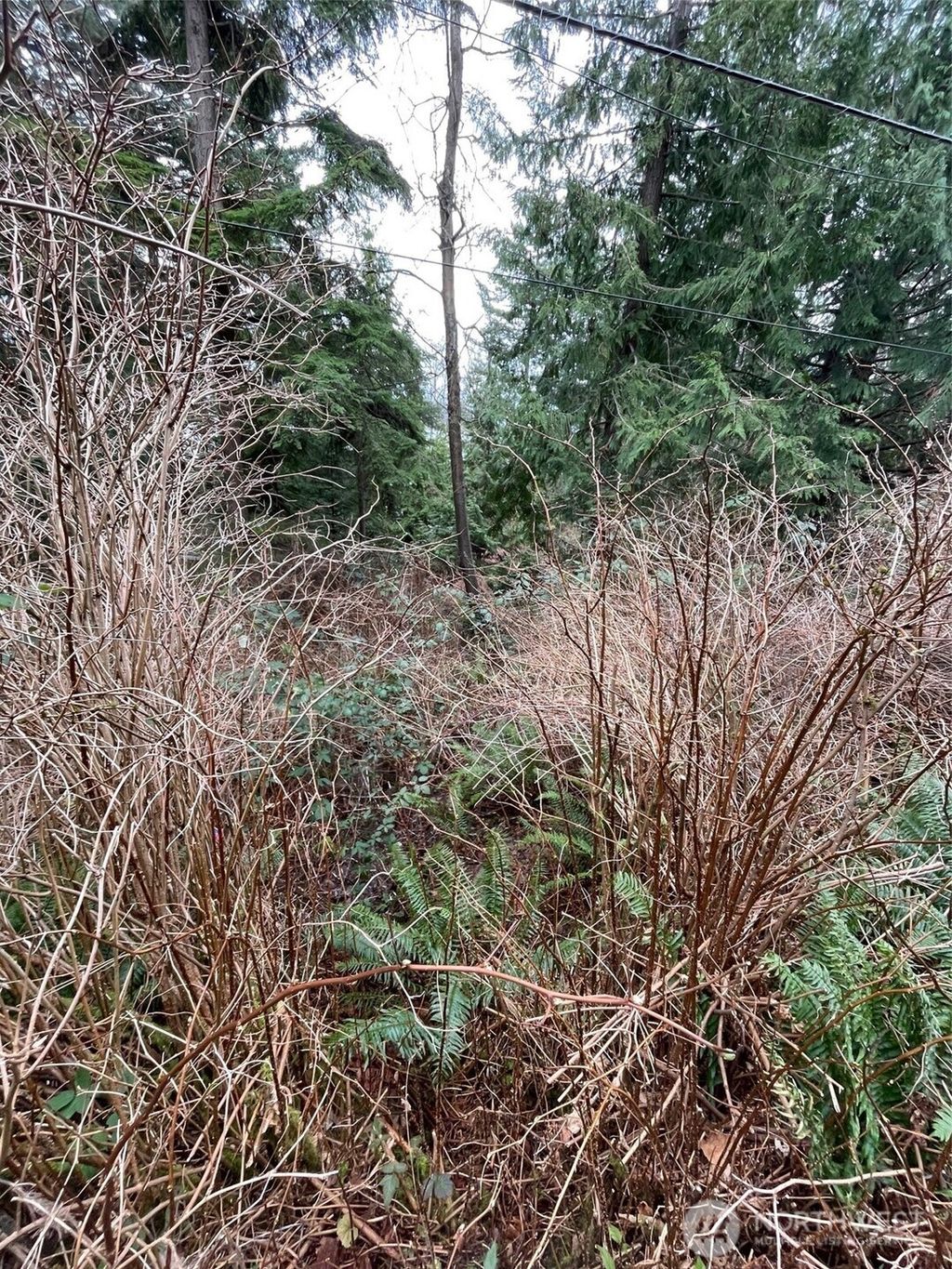 Photo of 1268 Island Drive, Lummi Island, WA 98262 (MLS # 2482097)