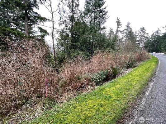 1268 ISLAND DR, LUMMI ISLAND, WA 98262 - Image 5aa0a67a61f402a59cdc51707315e187/2058291374