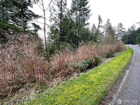 Photo of 1268 Island Drive, Lummi Island, WA 98262 (MLS # 2482097)