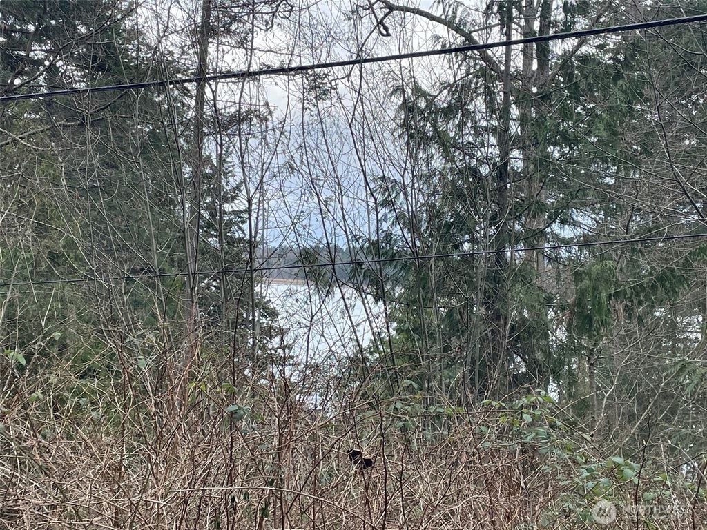 Photo of 1268 Island Drive, Lummi Island, WA 98262 (MLS # 2482097)