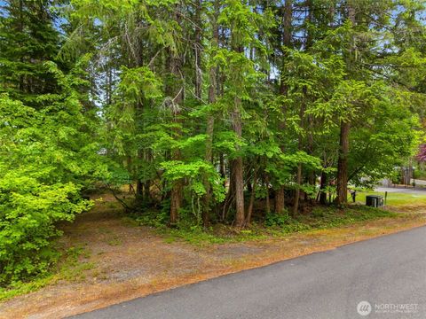 0 N Mountain View Drive Hoodsport WA 98548