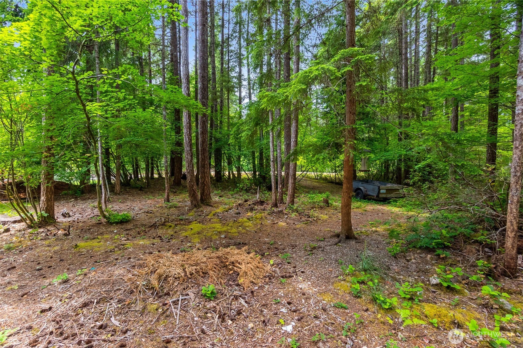 0 N Mountain View Drive