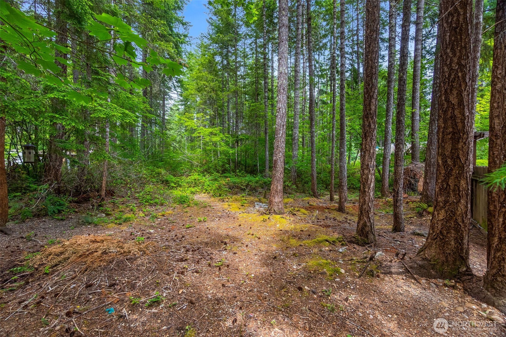 0 N Mountain View Drive