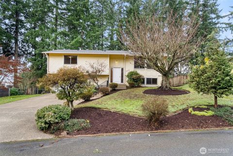 Photo of 333 Wildcat Street SE, Lacey, WA 98503 (MLS # 2463815)