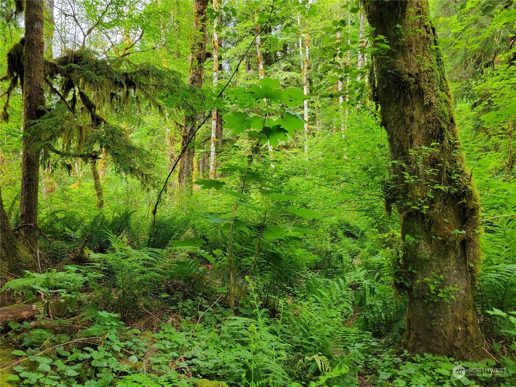 Photo of 0 xxx Benson Creek Road, Granite Falls, WA 98252 (MLS # 2142100)