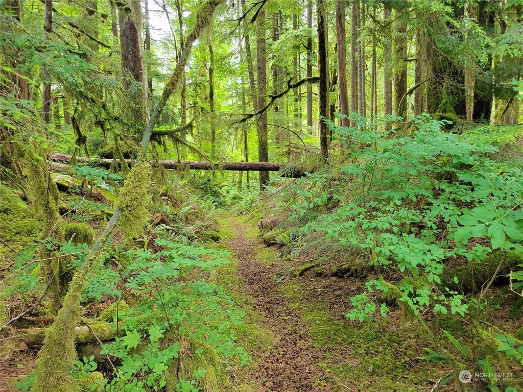 Photo of 0 xxx Benson Creek Road, Granite Falls, WA 98252 (MLS # 2142100)