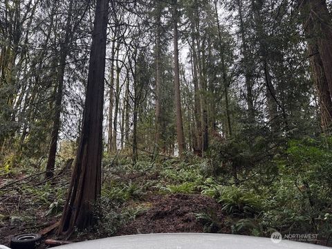 Photo of 27120 NE 152nd Street, Duvall, WA 98019 (MLS # 2492617)