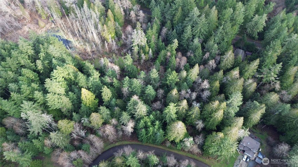 Photo of 12719 &amp; 12723 96th Street Ct, Anderson Island, WA 98303 (MLS # 2469582)