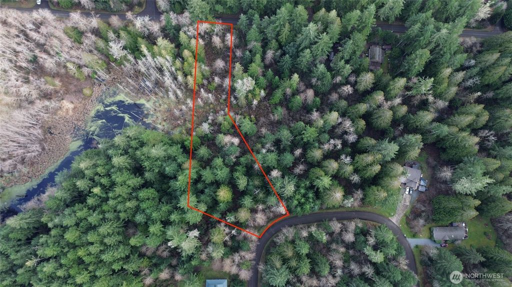 Photo of 12719 &amp; 12723 96th Street Ct, Anderson Island, WA 98303 (MLS # 2469582)