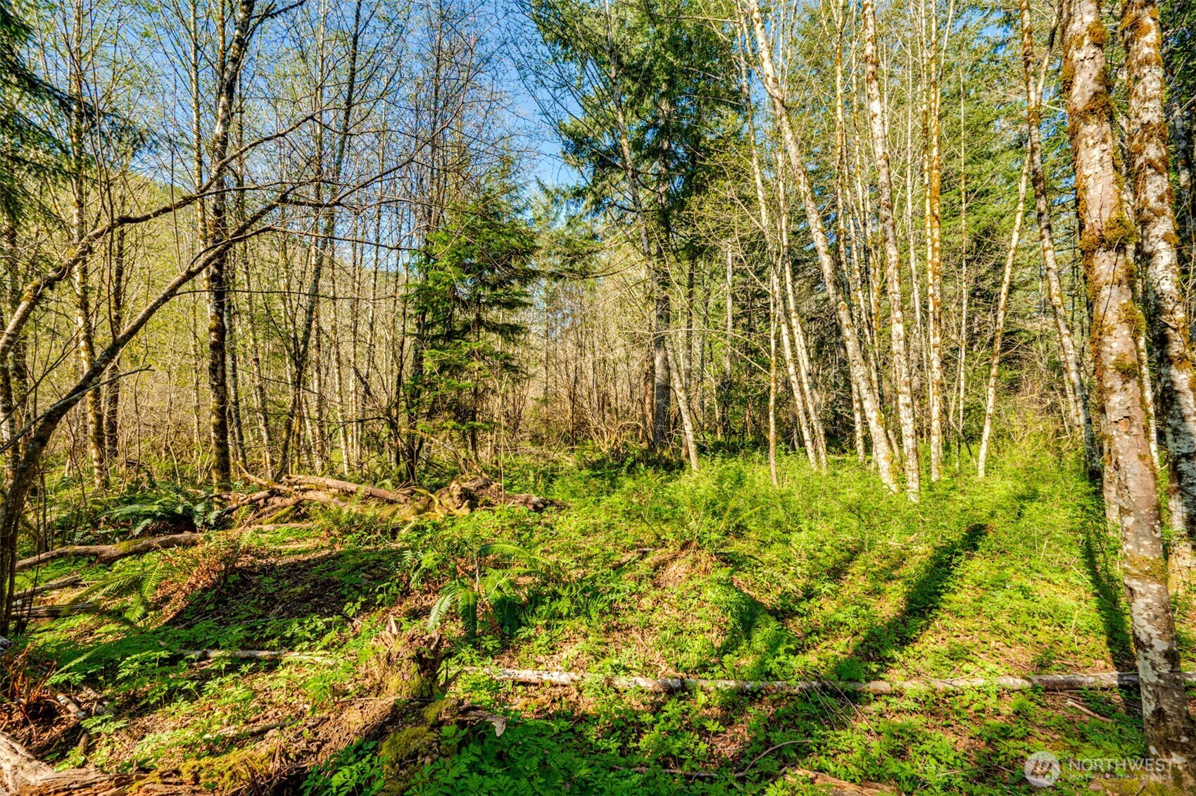0 Buncombe Hollow Road NE