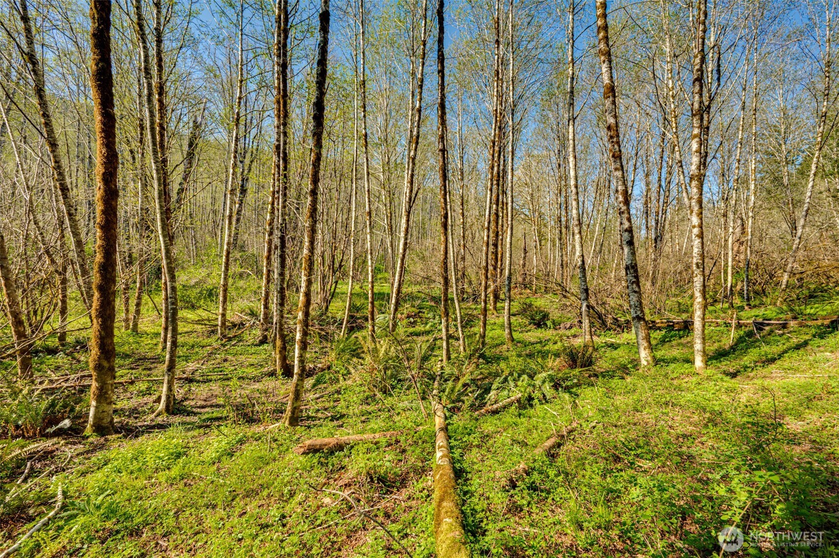 0 Buncombe Hollow Road NE
