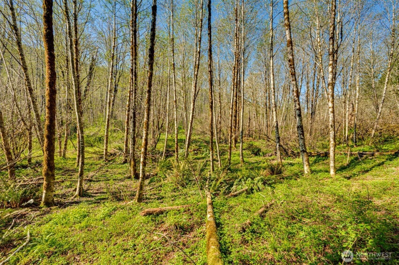0 Buncombe Hollow Road NE