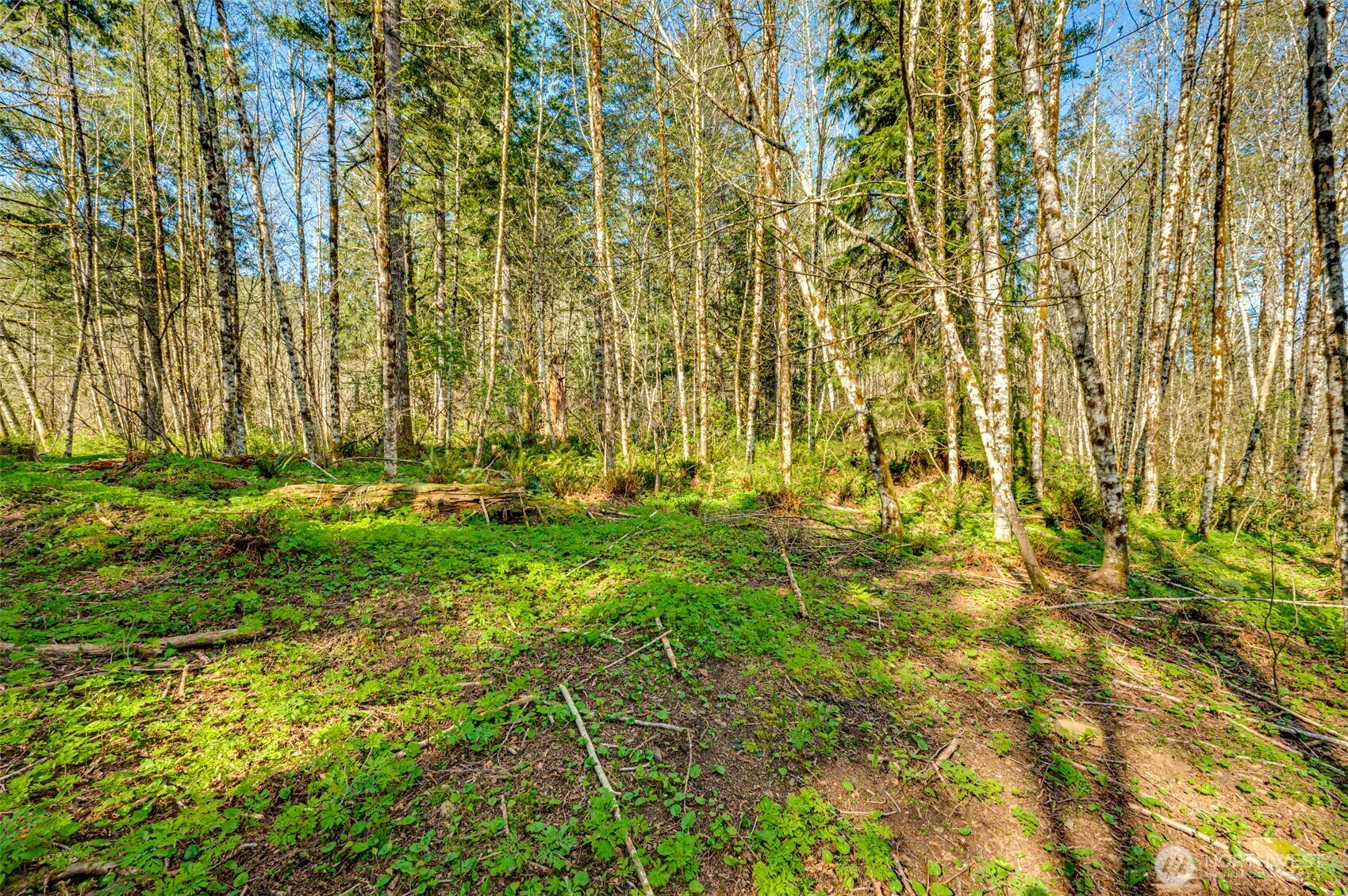 0 Buncombe Hollow Road NE