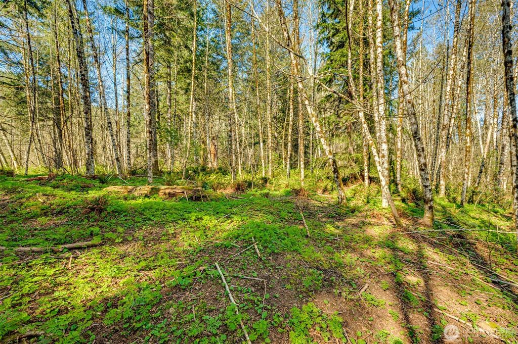 Photo of 0 Buncombe Hollow Road NE, Woodland, WA 98674 (MLS # 2503830)