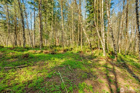 Photo of 0 Buncombe Hollow Road NE, Woodland, WA 98674 (MLS # 2503830)