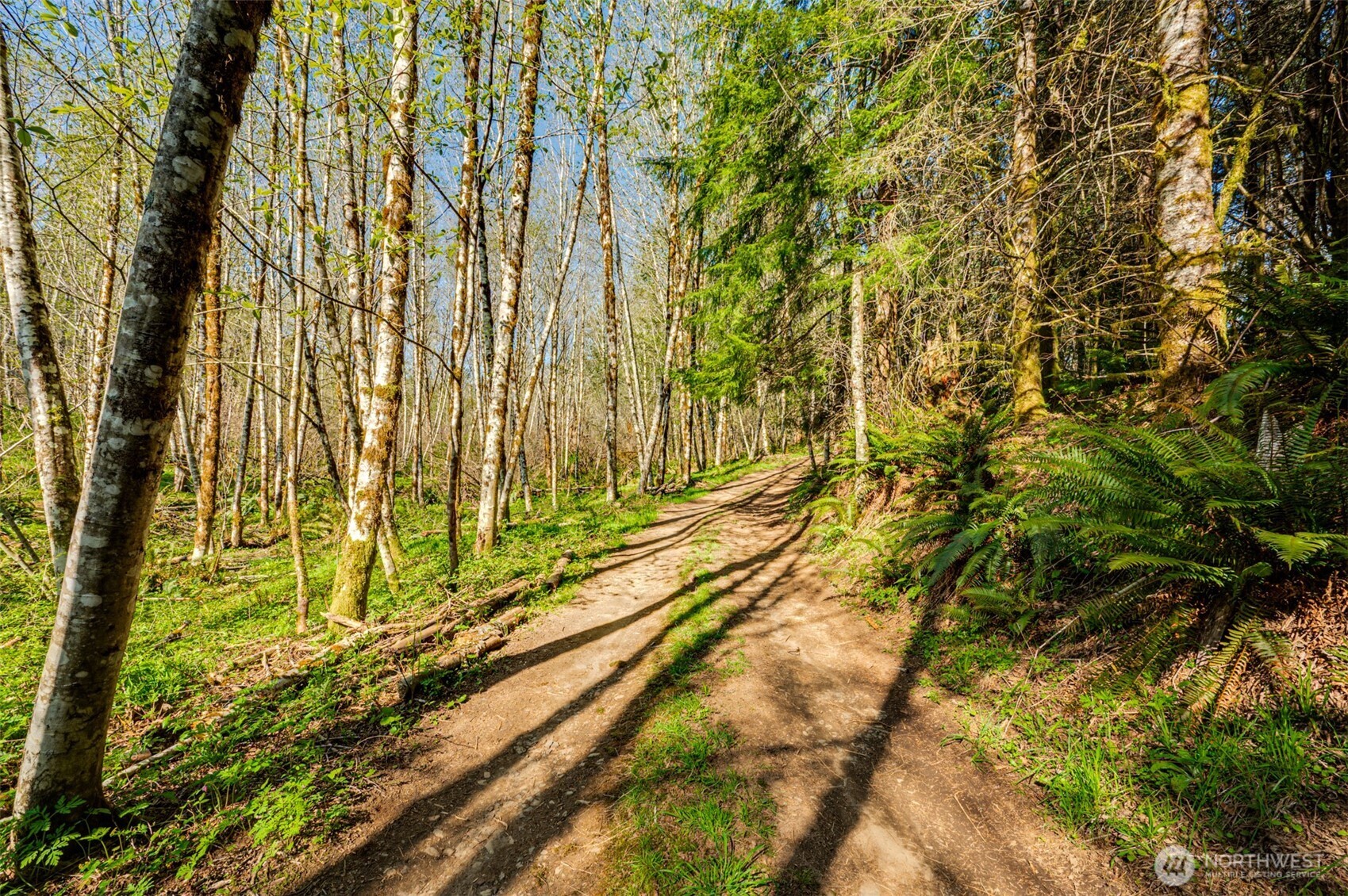 0 Buncombe Hollow Road NE