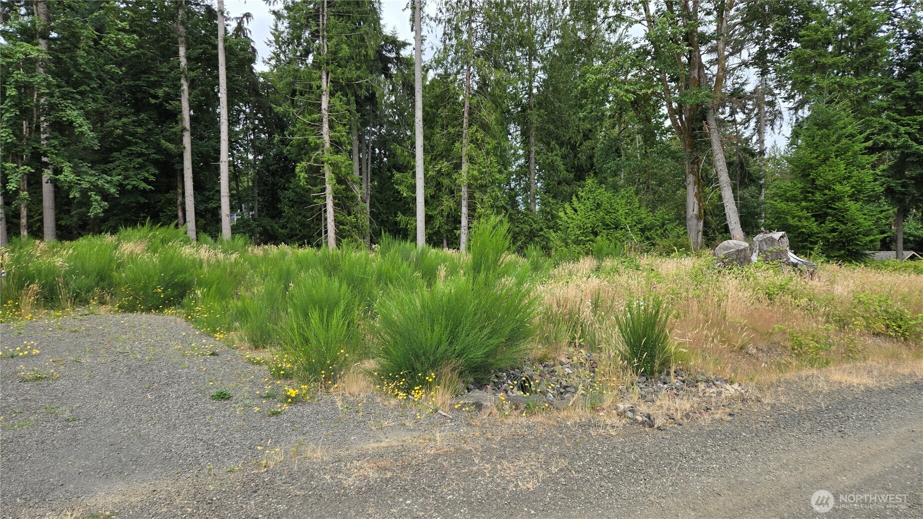 26 Oregon (Lot C of Short Plat) Avenue E