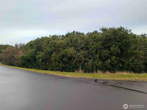 446 Salina Cruz Avenue Ocean Shores WA 98569