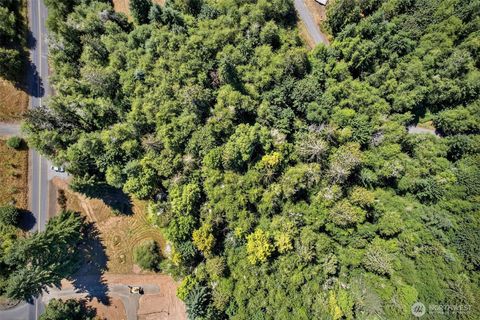 956 Paine Road Castle Rock WA 98611