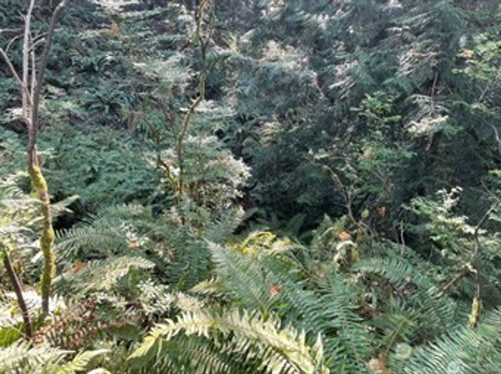 Photo of 0 Melcher Street, Port Orchard, WA 98366 (MLS # 2458297)