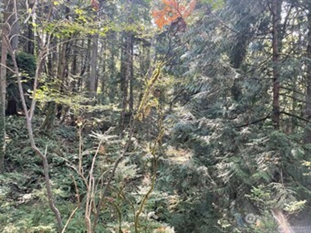 Photo of 0 Melcher Street, Port Orchard, WA 98366 (MLS # 2458297)