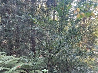Featured picture for the property 2458297